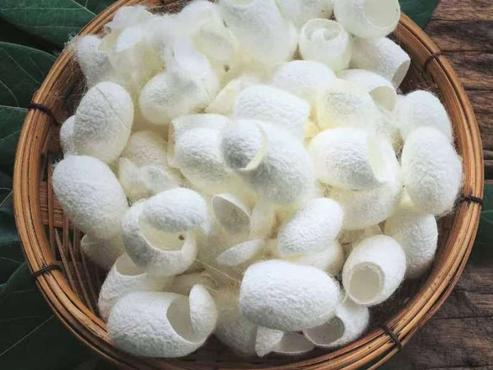 A basket filled with white silk cocoons