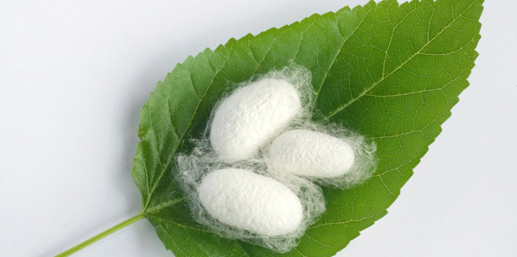 What Is Mulberry Silk?