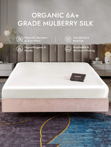 [White] SilkSilky  Sheet 001