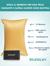 [Champagne] SilkSilky  Pillowcases 003