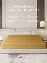 [Champagne] SilkSilky  Sheet 001