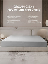 [Silver] SilkSilky  Sheet 001
