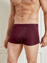 [Wine] SilkSilky  Men's Underwear 003